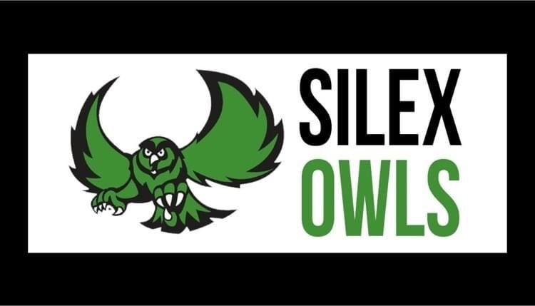 owls